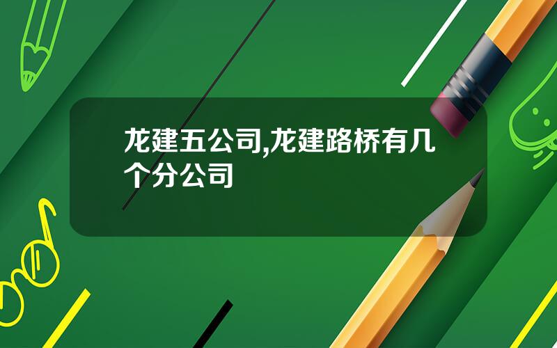龙建五公司,龙建路桥有几个分公司