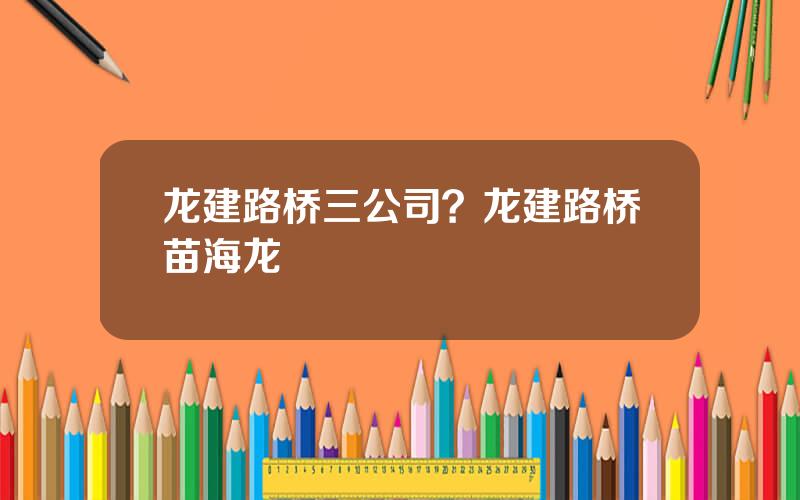 龙建路桥三公司？龙建路桥苗海龙