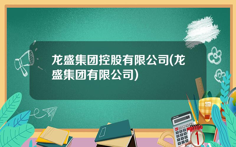 龙盛集团控股有限公司(龙盛集团有限公司)