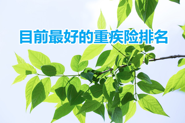 目前最好的重疾险排名，2022最好的重疾险排名_1